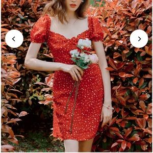 Petite Studio Red Floral Mini Dress